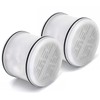 Can-Meageren Replacement Fixed Shower Filter Compatible with MakeFit Filtered Shower