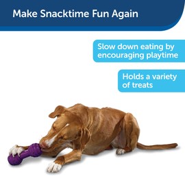 PetSafe Busy Buddy Chuckle Sound Dog Chew Toy - Treat Dispenser, BB-CHK, Purple,Medium/Large