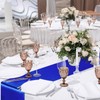 Tudomro 8 Pcs White and Royal Blue Round Plastic Tablecloth