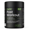 Cellx Post Workout Suplemento Deportivo Bcaas Beta Alanina Carnitina Magnesio