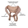 Wonder Care Hernia Support Brace for Single/Double Inguinal or Sports