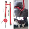 Arnés Ajustable para Gatos y Gatitos