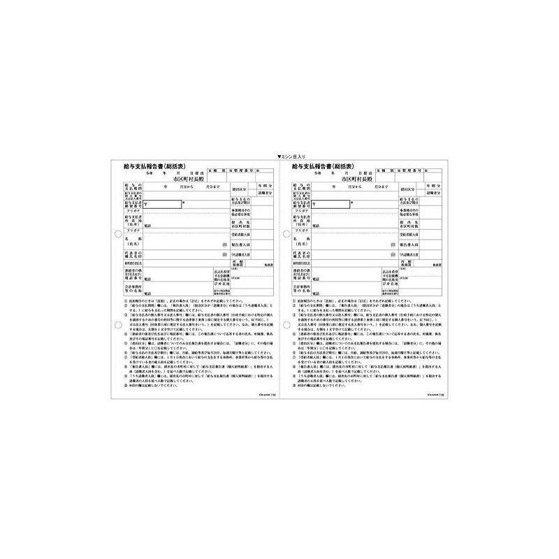 ヒサゴ 給与支払報告書(総括表) A4 2面 (100シート入り) OP1155