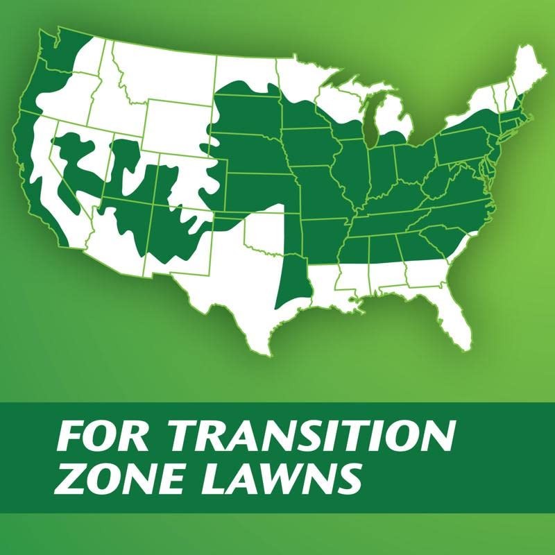 Patchmaster Lawn Repair Mix, Tall Fescue, 4.75-Lbs.