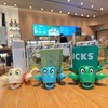 JOD® Turtle Cup Holder,Turtle Coaster with Funny Expression, 3 PCs