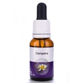 Living Essences Dampiera 50ml