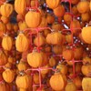 프리미엄 상주곶감 반건시 실속형 20구 선물세트 Premium Sangju Dried Persimmons