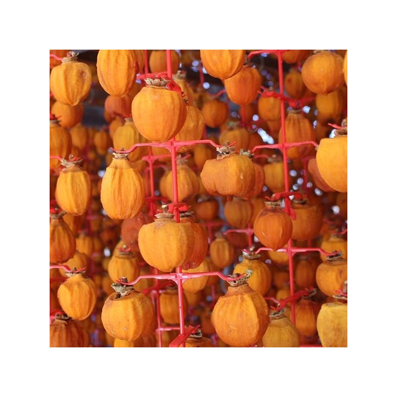 프리미엄 상주곶감 반건시 실속형 20구 선물세트 Premium Sangju Dried Persimmons