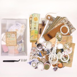 251PCS Vintage Scrapbook Supplies Pack, Scrapbooking Paper and Stickers Ephemera Bundle Junk Journal Kit for Art Aesthetic Journaling Collage Decoupage Craft (Space)