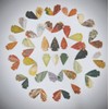 50 PC Lot Flint Arrowhead OH Collection Project Spear DIY