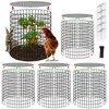 Hi Sasara 3 Sets Wire Plant Protectors Cage,11.8" Dia x