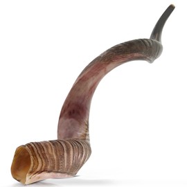 Shofar from Israel | KOSHER by Rabbinate of Jerusalem | Handcrafted | Holy Voice musical instruments | Kudu Shofar | 35-39 inch | Made In Israel By YOMTOV-SHALOM