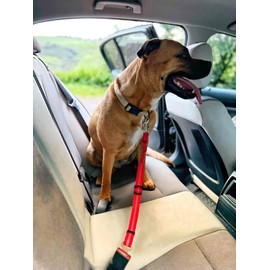 Dog Seat Belts for Cars, Premimum Pet Safety Car Seat Belts, Cat Dog Pet Heavy Duty Adjustable Elastic Lead Harness with 360 degree swivel buckle attachment (Red)