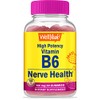 WellYeah WellYeah Zinc + High Potency Vitamin B6, Gummies Bundle
