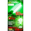 funks Green 60W LED Fish Collecting Light Underwater Fishing Light