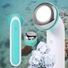 Face/Massager/Blue/1Pc