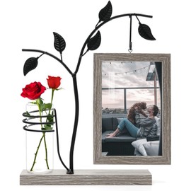 4x6 pulgadas Marco de fotos y terrario plantas 2 en 1 con ssoporte para decoración del hogar oficina escritorio (Gris)