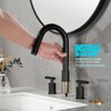 Ryuwanku Matte Black Pull Down Bathroom Faucet with Pop-up Drain,