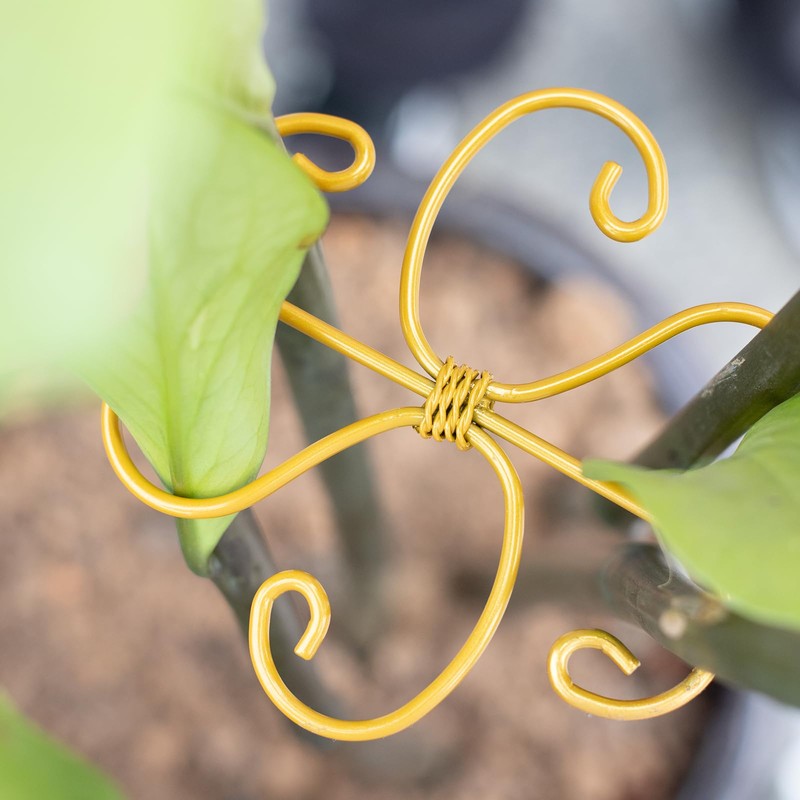 6pcs Plant Stem Support, Monstera Plant Support,Propagated Plant Holders,Plant Stakes