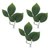 Xinjoduz 3 PCS Betta Leaf Hammock Fish Leaf Pad Fish