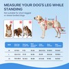 Moysoon Dog Knee Brace for Back Leg - Adjustable Breathable