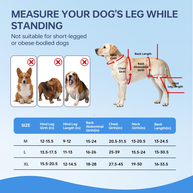 Moysoon Dog Knee Brace for Back Leg - Adjustable Breathable