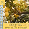 Perle di Sole Candied Lemon Peels Sugar Coated - Italian