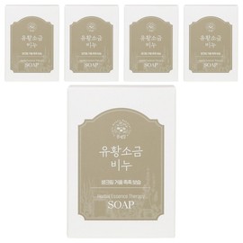 Kongseal Sulfur Salt Soap, 85g, 5 pieces / 콩세알 유황소금비누, 85g, 5개