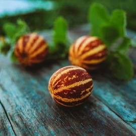 Rich Sweetness 132 Melon - 25 Seeds - Unique Striped Melon Variety, Sweet White Flesh Tastes Like Cantaloupe, Non-GMO Heirloom Melon Seeds for Planting in The Home Garden, Thresh Seed Company