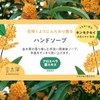 Global Product Planning Osmanthus Hand Soap, 9.6 fl oz (260
