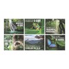 Fun Express Rainforest Vbs Poster Set - 6 Pieces -