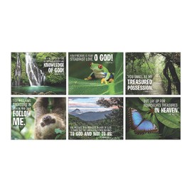 Fun Express Rainforest Vbs Poster Set - 6 Pieces - Educational and Learning Activities for Kids