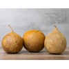 Box of 3 Dried Cannonball Gourds - 5" Diameter, Ready