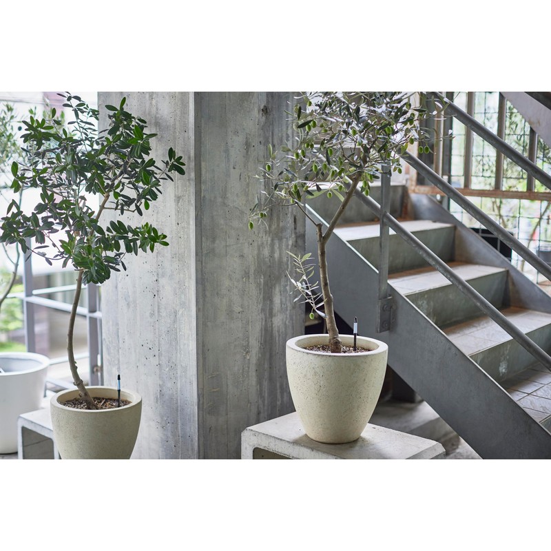 Cabinoche SUSTEE Watering Checker Susty, Set of 5, S Black