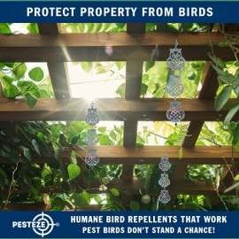 PESTEZE 3 Piece Shiny Holographic Owl Bird Repellents [5 x 24 inch] Reflection Scares Pest Birds Like Woodpeckers, Sparrows, Pigeons, Crows & Gulls Without Harming Them to Protect Property