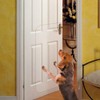 In hand Clear Pet Door Scratch Protector Shield Protect Your