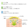 Buna Potutro W Pack, Exfoliating Care, Hatomugi, Moisturizing, Face, Neck,