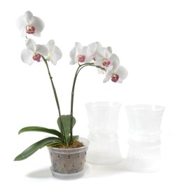 Greenology 16cm / 6" Pack of 5 Orchid Flower Pots with Saucers and Side Drainage in Durable Soft Clear Plastic