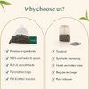 VAHDAM, Earl Grey Black Tea Bags (100 Count) Medium Caffeine,