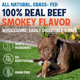 FETCHERONI Marrow Bones for Large Dogs, 6 inch Natural Dog Bones for Aggressive Chewers, Long Lasting Treats, Grain-Free, Rawhide Alternative, Dental Health Snack, USA Made, Low Odor (24 Pack)