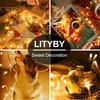 LITYBY Fairy Lights Mains Powered, 50M 500LED Fairy Lights Plug