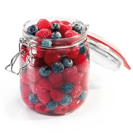 Tescoma Preserving Jar with Flip-Top Closure 800 Ml Della Casa, Assorted