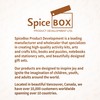 SpiceBox Learn Calligraphy Set for Beginners with Pens and Introduction