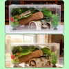 Crested Gecko Tank Accessories, Reptile Decor,Reptile Hanging Plants Vines with