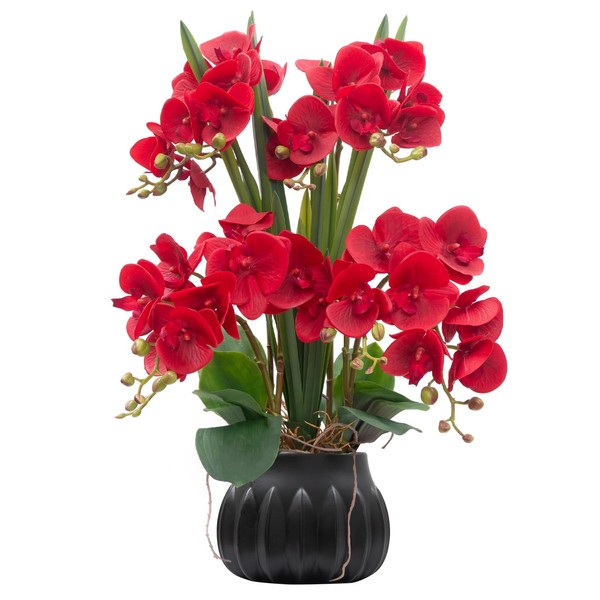 CXGS Artificial Orchid Flower Plant 19.7'' Real Touch Faux Orchids