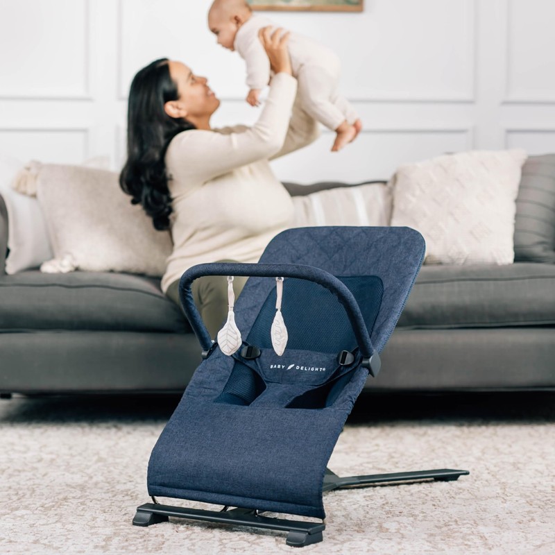 Baby Delight Alpine Deluxe Portable Bouncer, Infant, 0 – 6