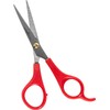 iPRO - Tijera Profesional 5.5" Reposo Red Point Microden, de