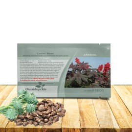 Outsidepride Bright Red Castor Bean Seeds - 15 Pcs Annual Quick-Growing Tropical Flower Seeds for Planting Vibrant Foliage & Colorful Blooms for Eye-Catching Borders, Gardens & Landscapes