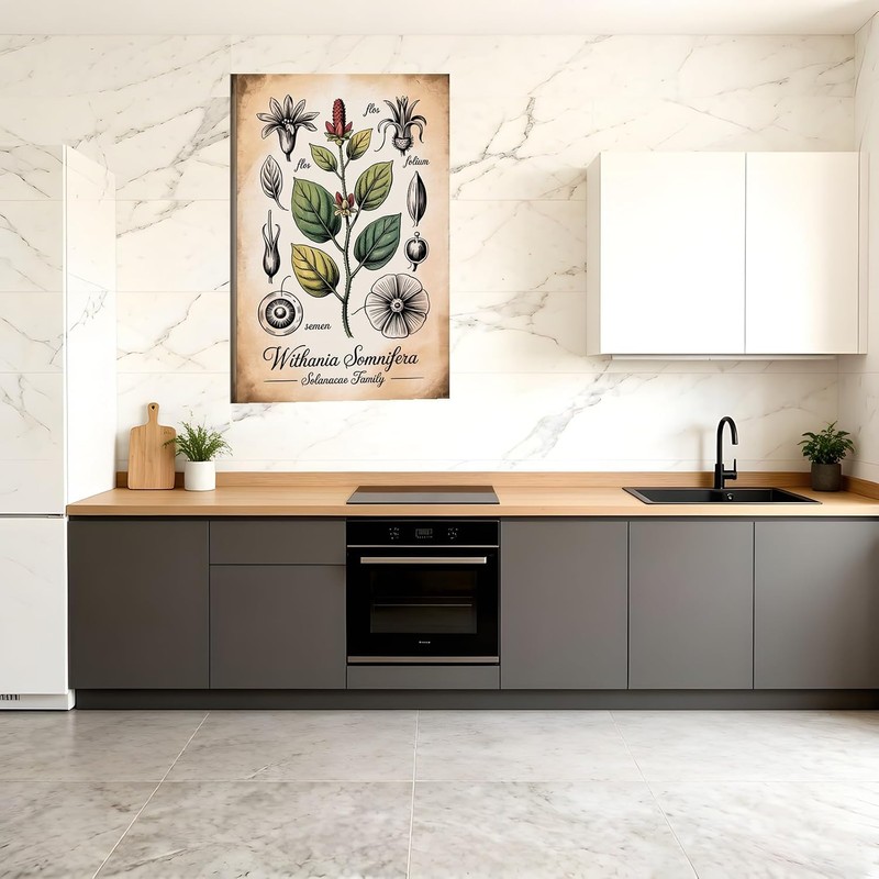 Placa botánica de Ashwagandha – Withania Somnifera 30x45 cm, impresión