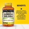 MASON NATURAL Ginkgo Biloba, 3 Month Supply, Helps to Improve
